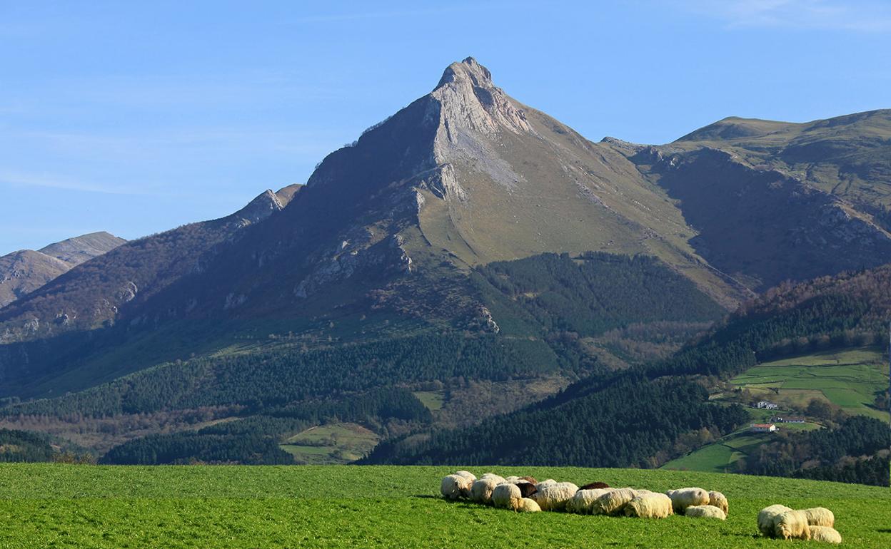 El monte Txindoki visto desde un prado verde con un rebaño de ovejas pastando